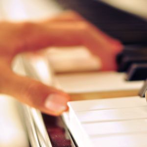 老司机精品影院
