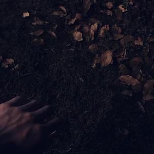 老司机精品影院
