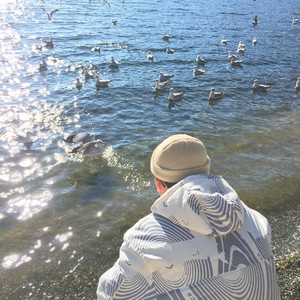 老司机精品影院
