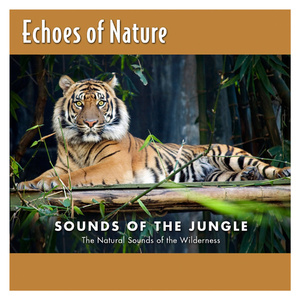 老司机精品影院
